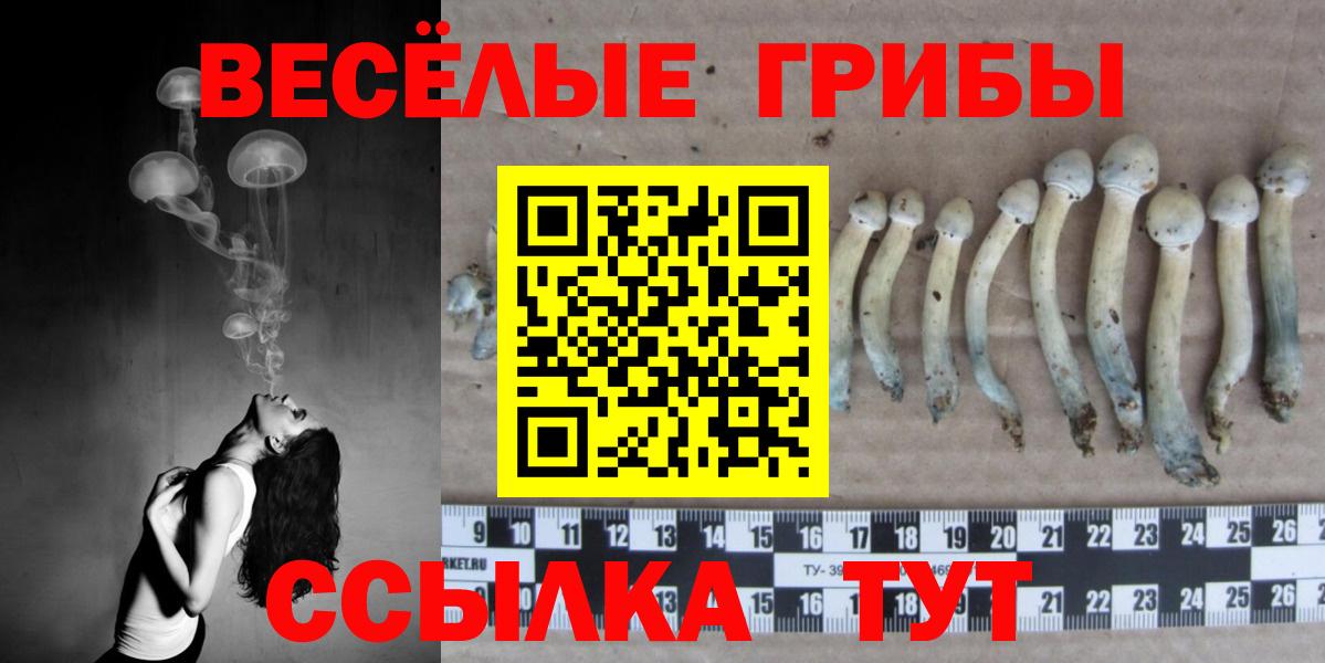 Псилоцибиновые грибы мухоморы Беслан